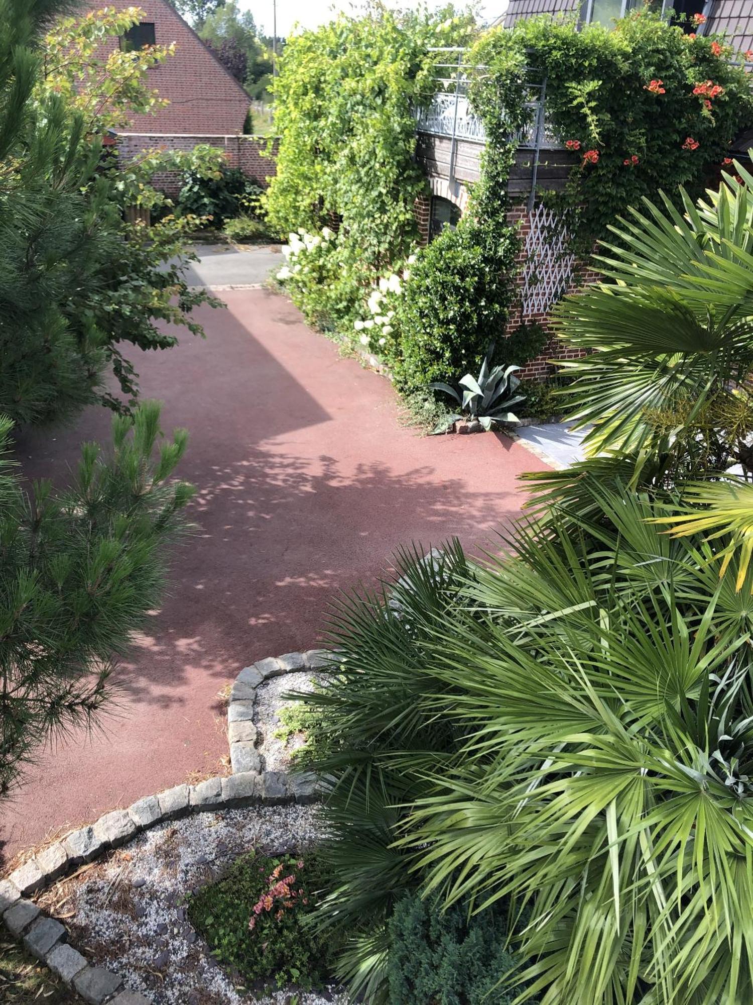 Aux Herbes Hautes Fleurbaix エクステリア 写真