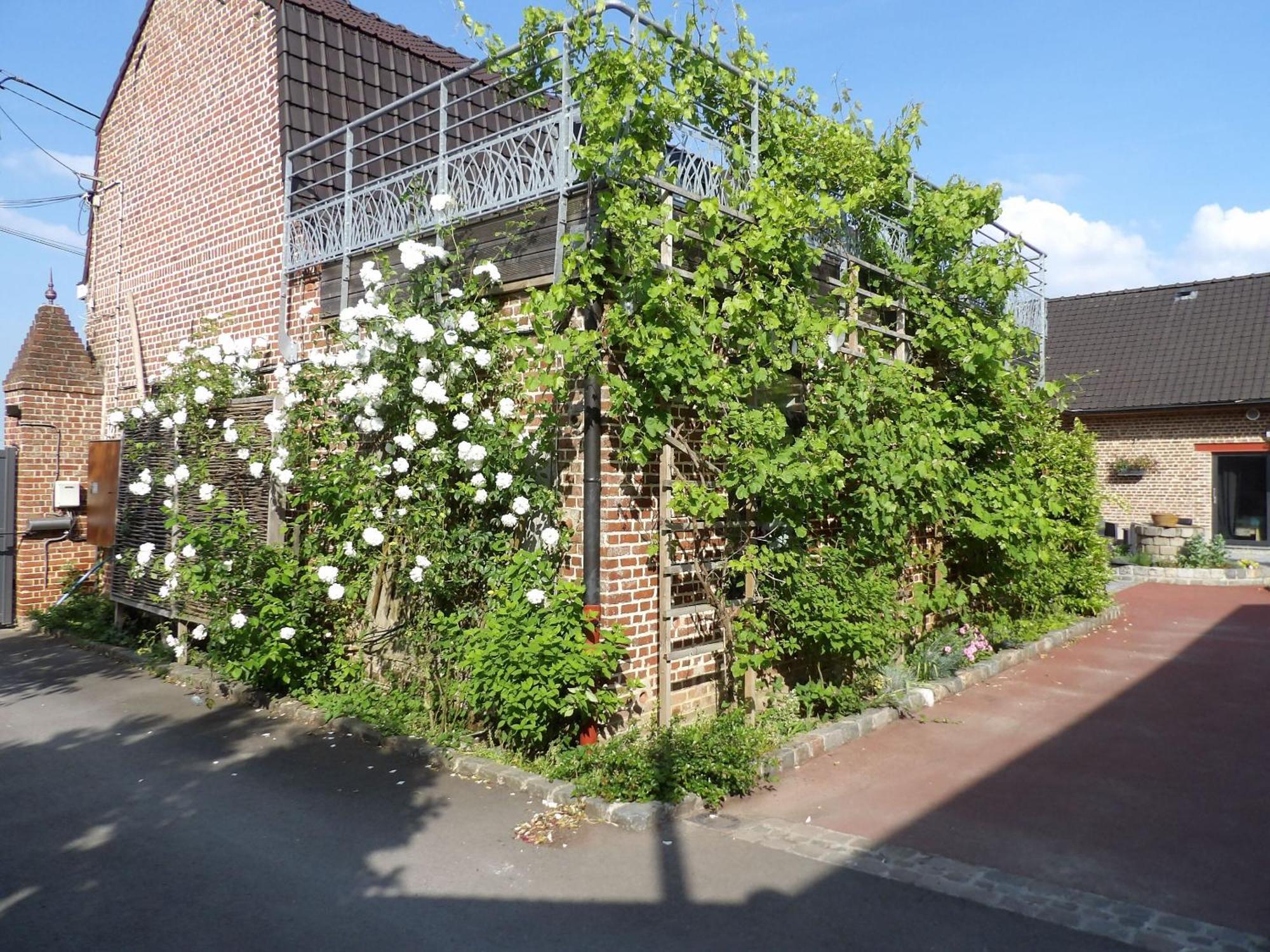Aux Herbes Hautes Fleurbaix エクステリア 写真